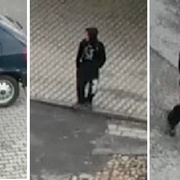 V Radnicích ukradl Simsona - poznáte ho?