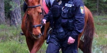 Strážníci opět chytali koně