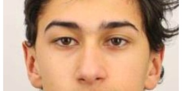 Policisté pátrají po Davidu Grlákovi z Plzně