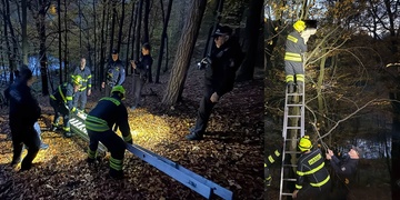 Osmiletá holčička vylezla na strom, dolů to prý už ale nešlo