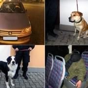 Mrtvola, útoky na auto i výlohu a opilci