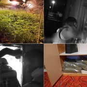 Gang velkopěstitelů dostal "Leguán"