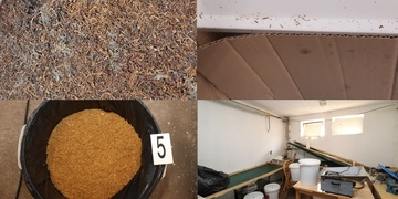 Červi a plíseň v tabáku i ilegální prodej slonoviny