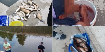 Rumuni pytlačili na náplavce
