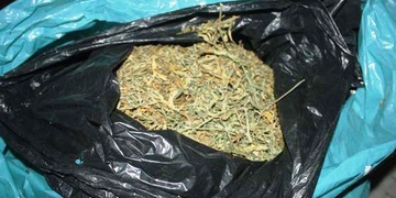 Plzeňští policisté odhalili pěstírnu konopí