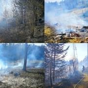 Požár zasáhl téměř tři hektary lesa