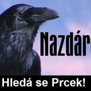 Hledá se Prcek!