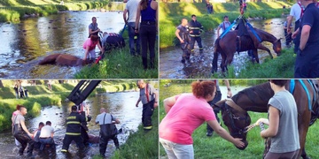 Boj o koňský život na břehu Úslavy