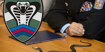 "Aceite" odkryla škodu za 66 milonů