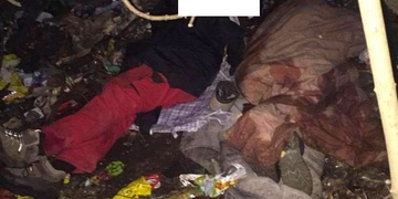 Had, bezdomovci, opilá řidička, útěk z nemocnice, bitky a opilci