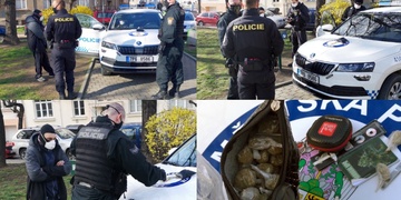 Místo pytlíku na psí výkaly