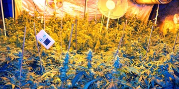 Další velká drogová realizace nyní s krycím názvem "Bolsa"