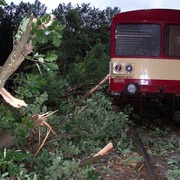 Dřevorubci zavinili strážku vlaku se stromem