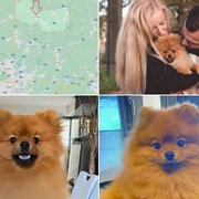 Ztratil se Oliver, pomozte nám prosím!