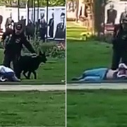 Že nakopnout služebního psa je fakt blbost, pochopil agresor pozdě