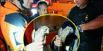 Noční záchranná akce v pivovaru