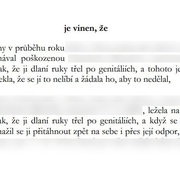 "I masoví vrazi mají otcovská práva," řekl ženě soud