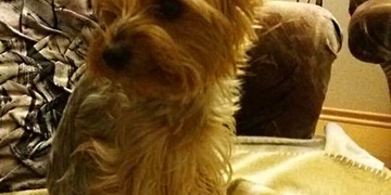 Neviděli jste Daisy?