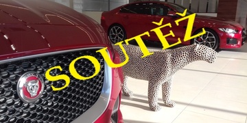 Soutěžte s Dajbychem a Jaguárem