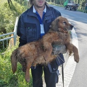 Policie chce přijet zastřelit psa aneb hysterie na netu