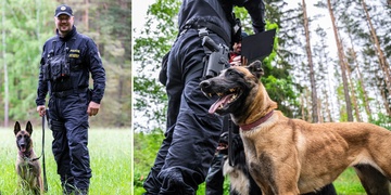 Kelly - odborník na speciální pátrací práce