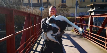 Zmatená labuť se ztratila v Kamenické ulici v Plzni