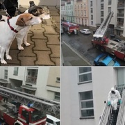 Záchranná akce na Slovanech skončila velice smutně