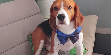 Pomozme zachránit Rona!