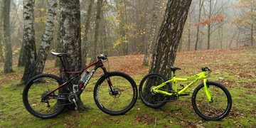 Ukradl kola za téměř tři sta tisíc