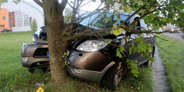 Muž v Plzni narazil s vozem do stromu