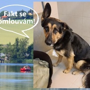 Velká pátrací akce na Boleváku byla ukončena