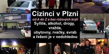 SPECIÁL: Cizinci v Plzni od A do Z a bez růžových brýlí