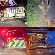 Vážná nehoda, srnec proletěl předním sklem až do kabiny vozu, kde zranil řidiče
