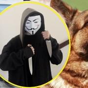 Feťák v masce a s dvěma noži útočil na policisty! Zastavil ho musel až služební pes.