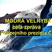 Modrá velryba - Policie ČR varuje