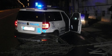 Zbytečně zničil strom