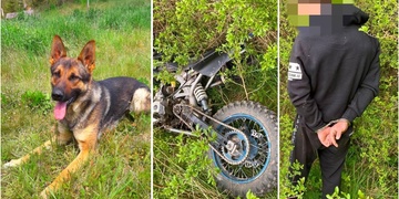 Před Dagem se v lese neschoval