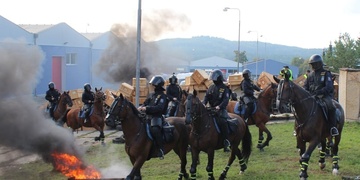Moderní obrněná jízda - oddíl policejní hipologie