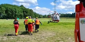 Kůň pokopal mladou ženu a vážně ji zranil