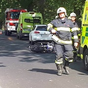 Kachny a bezpečná vzdálenost