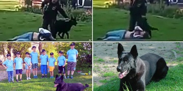 Morgan - agresivní nevychovanec a nebo skvělý parťák i kámoš dětí?