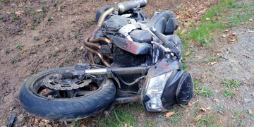 Srnec vběhl řidičce přímo do cesty