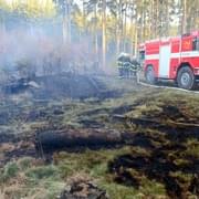 Jeden a půl hektaru lesa hořelo