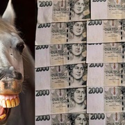Naivní žena se stala "bílým koněm"