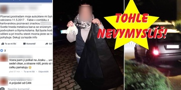 Idioti zloději aneb jeden příběh z Plzně