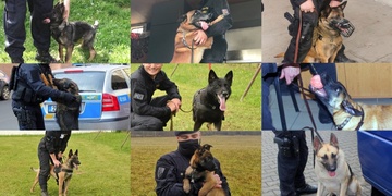 Chlupatí parťáci aneb K-9 v našem kraji