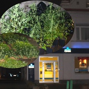 Pěstírna drog maskovaná bankou v Plzni