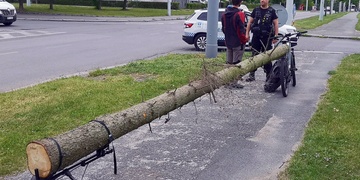 Jedu si takhle Plzní s ukradenou kládou...