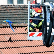 Aru modrého odchytávali hasiči