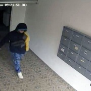 Neznámý zloděj vyrazil na Lochotíně "na sklepy"